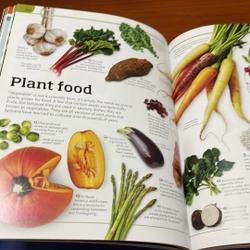 PICTURE BOOK General knowledge genius! 536333