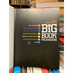 The Big Book of Packaging: Contains over 100 Examples of Eco-friendly Packaging 332969