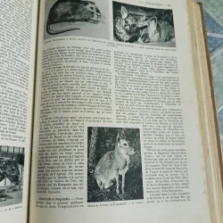 La vie des animaux - Larousse 590350