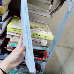 Ngọn đuốc đầu tiên của ni giới miền nam 627159