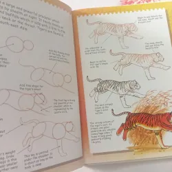 I Can Draw Wild Animals 1002086