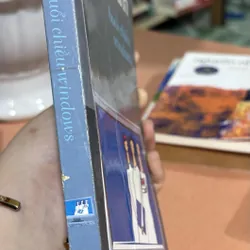 Buổi chiều Windows 🌊 592195