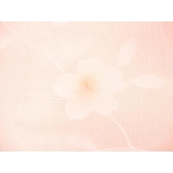 Vải phản vật dài - Hàng hiệu Authentic 878217