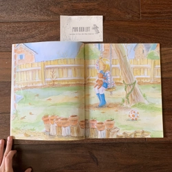 Sách ngoại văn The Wish Cat, Used 522849