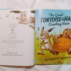 The Great Tortoise & Hare Counting Race 315384