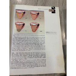 Understanding Psychology - Robert S. Feldman 927127