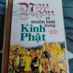 Combo 12 cuốn về Phật giáo  957815