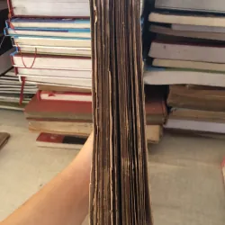 Việt Văn Độc Bản  995084