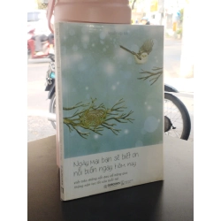 Ngày mai bạn sẽ biết ơn nỗi buồn ngày hôm nay - Nguyễn Vân Anh