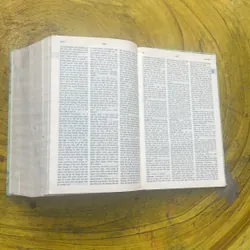 TỪ ĐIỂN ANH - VIỆT - ENGLISH - VIETNAMESE DICTIONARY NEW EDITION  699409