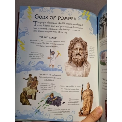 POMPEII : Picture Book (Usborne) 222627
