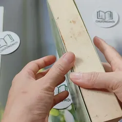 Yêu Em Từ Cái Nhìn Đầu Tiên - Cố Mạn 744698