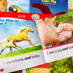 Bộ sách Nonfiction sight word readers 4 levels 466267