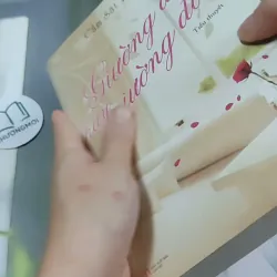 Giường Đơn Hay Giường Đôi - Cầm Sắt Tỳ Bà 744730