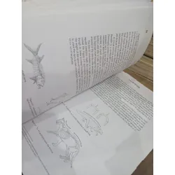 YOGA Anatomy - Leslie Kaminoff, Amy Matthews 590704