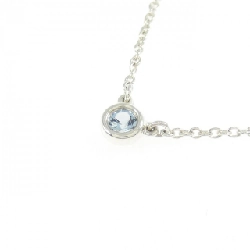 Dây chuyền Tiffany By The Yard - Hàng hiệu Authentic 841668