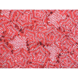 Bộ sản phẩm 羽織 2 món - Hàng hiệu Authentic 877108