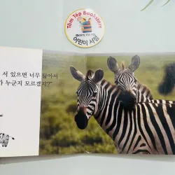 Set boardbook tranh ảnh động vật, thực vật chó bé B30 l 1043706