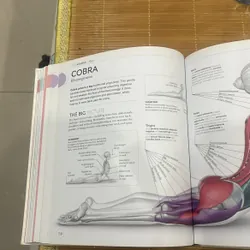 Science of yoga 713724