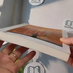 Bạn Có Thể Chữa Lành Cuộc Sống Của Bạn - Louise L. Hay 727270