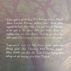 Đọc Tin Mừng Chúa Nhật theo Lectio Divina ( 3 quyển : Năm A, B, C ) 159870