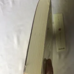 Mùa Xuân Và Haru - Akiko Moriya 926833