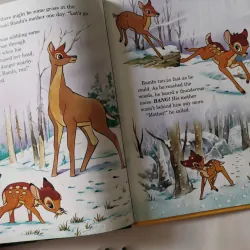 Disney's Wonderful World of Reading 1002041