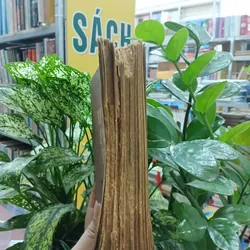 HÀN PHI TỬ (QUYỂN THƯỢNG) - HÙNG NGUYÊN NGUYỄN NGỌC HUY dịch 735619