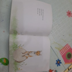 Set 7q sách ehon Nhật Bản- NXB Kim Đồng 463314