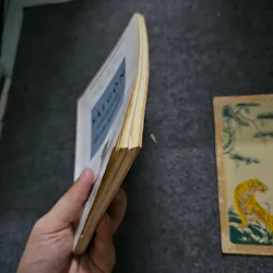 Sài Gòn từ khi thành lập đến giữa thế kỷ 19 736621