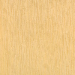 【Mã giảm giá】JIL SANDER Áo 645472