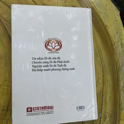 CÂU CHUYỆN NHÂN QUẢ - TÙNG THƯ TỊNH ĐỘ TÔNG 735567