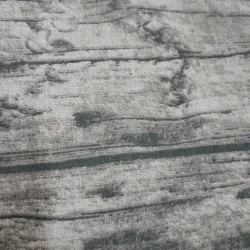 KỶ LUẬT TÍCH CỰC (Ng tác Positive Discipline)-Tg Tiến sỹ GD Jane Nelsen 795998