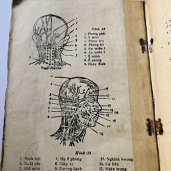 BẤM HUYỆT CHỮA BỆNH  - 118 trang, nxb: 1989 336737