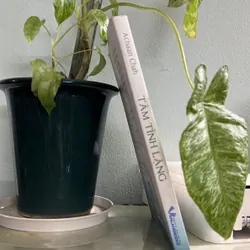 Tâm tĩnh lặng - Achaan Chah - [105 -> 40] 736363