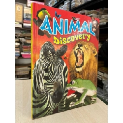 Animal discovery 797334