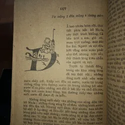Cuộc du lịch kỳ diệu của Nin Hơ-gớc-xơn - Xen-ma La-gớc-lốp 797474