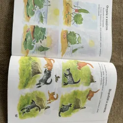 tiếng Nga bằng Hình ảnh -И. В. БАРАННИКОВ, Л. А. ВАРКОВИЦКАЯ РУССКИЙ ЯЗЫК В КАРТИНКАХ  791609