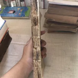 Các vĩ nhân tỉnh lẻ 993527