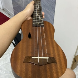 Đàn Ukulele size 21 503025