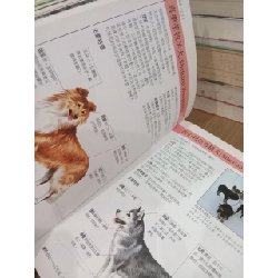 Sách tiếng Trung 19 730802