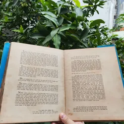 Dưới Lá Cờ Vẻ Vang Của Đảng 706340