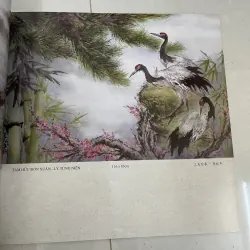 Thái mạc niên Hoa(nhiều tranh đẹp) 789646