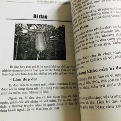 📗 CHỮA BỆNH TỪ CÂY CỎ VƯỜN NHÀ & BÀI THUỐC GIA TRUYỀN – Lương y Quách Văn Minh  482482