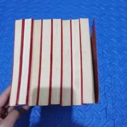 Điệu Sáo Mê Hồn - Ngoạ Long Sinh 995371