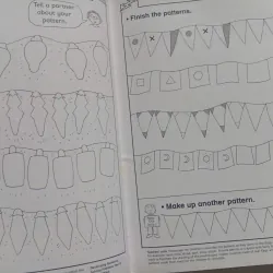 Developing Numeracy: 1008523