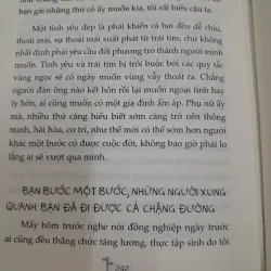 Tản văn Mèo Maverick. Ở lại THÀNH PHỐ hay VỀ QUÊ? 790583