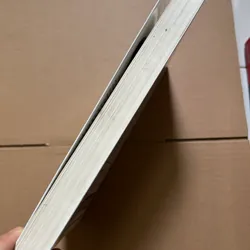 Kiệt quệ tài chính thế hệ Y - Erin Lowry 736729