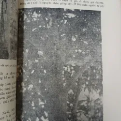 LUẬN KHẢO VỀ CÁC BỆNH THƯỜNG HẠI CÂY CỐI TẠI MIỀN NAM VIỆT NAM 688029