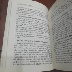 Huỳnh Văn Thới - XƯƠNG RỒNG BÁT TIÊN, kỹ thuật trồng, phương pháp lai tạo 737665